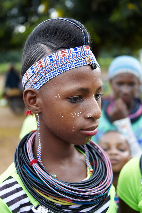 Borgu tribe