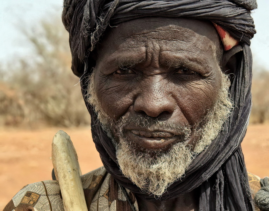 Dogon tribe