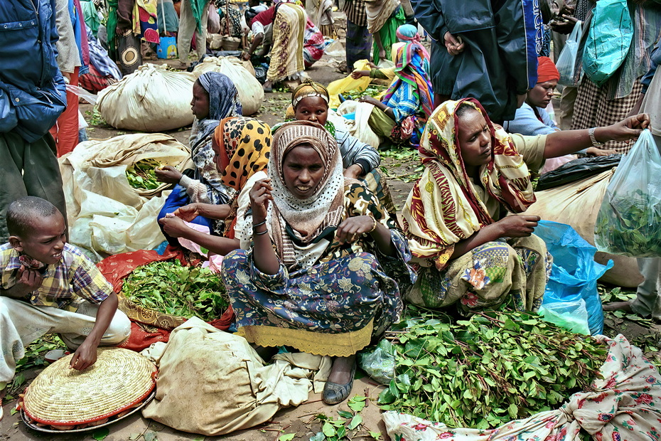 Harari tribe