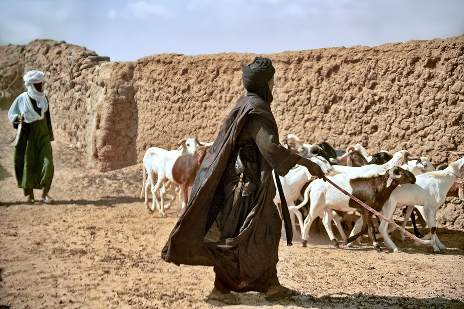 Tuareg tribe