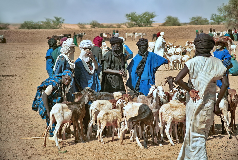 Tuareg tribe