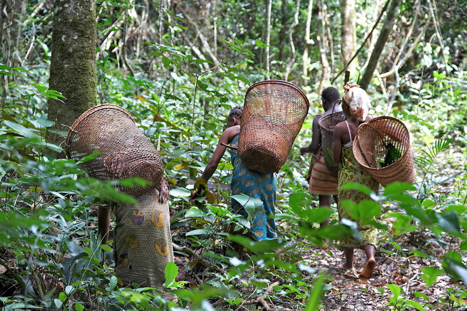 Baka tribe