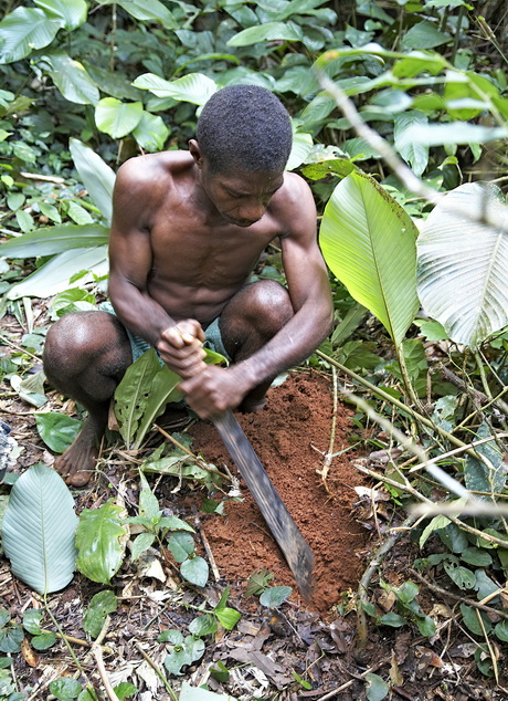 Baka tribe