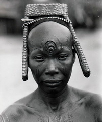 Kutu